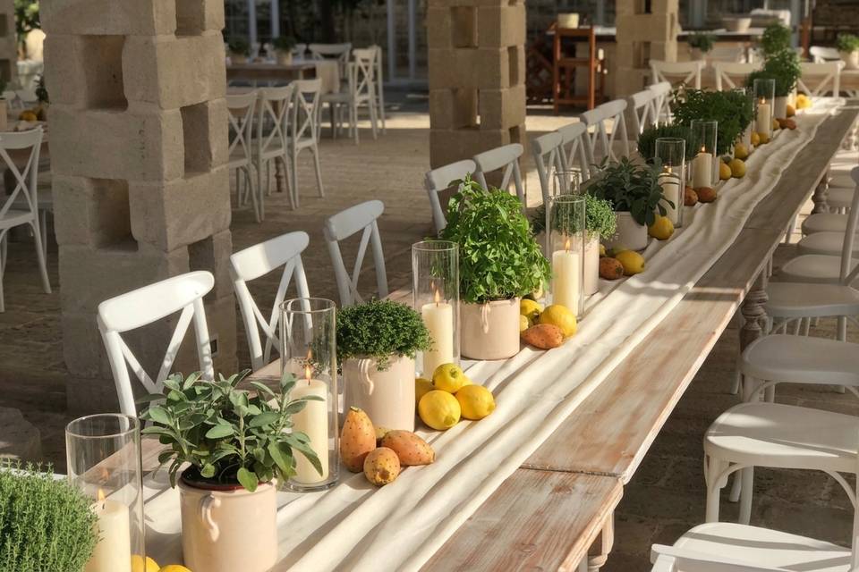 Runner di piante aromatiche