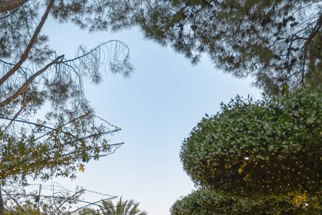 Giardino dei Gelsomini