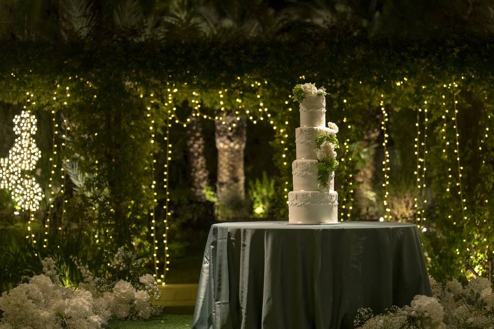Wedding cake cutting