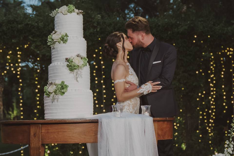 Wedding Cake cutting