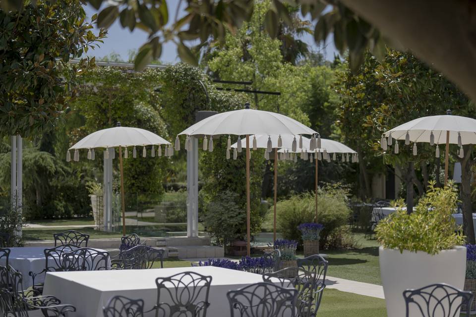 Giardino delle magnolie