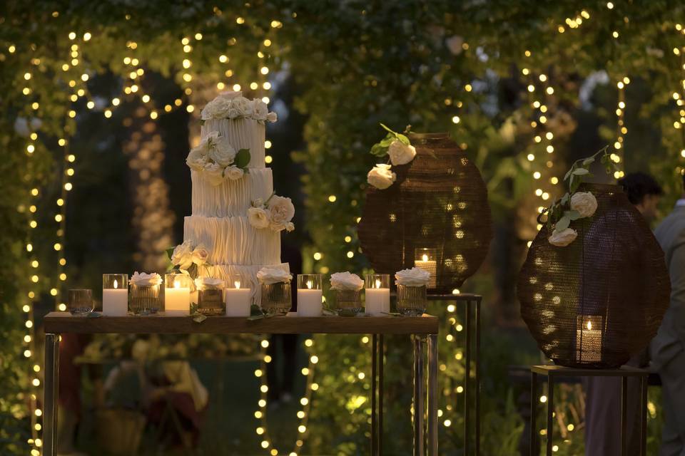 Wedding Cake cutting