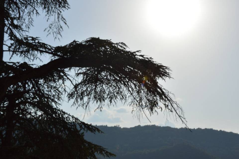 La fontana di fronte la Villa