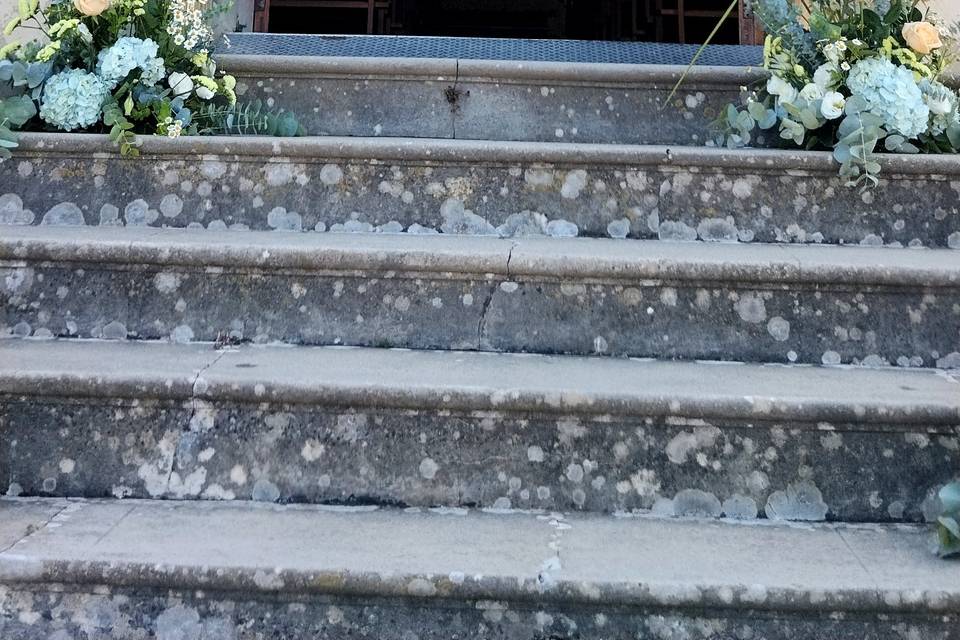 Maiolgae