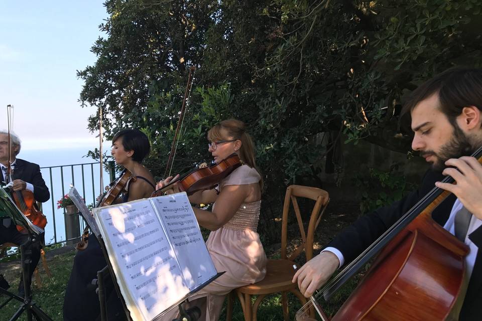 Malem Quartet