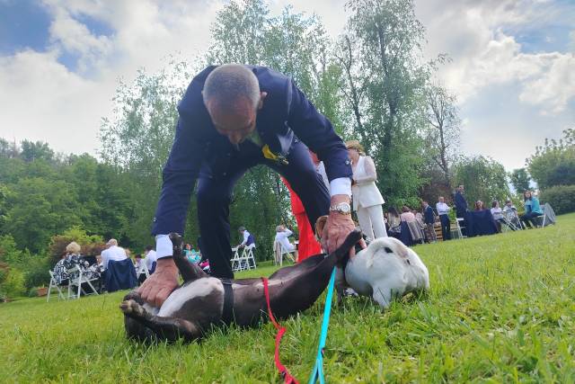 Qui la zampa - Pet Sitting di Jessica Casani