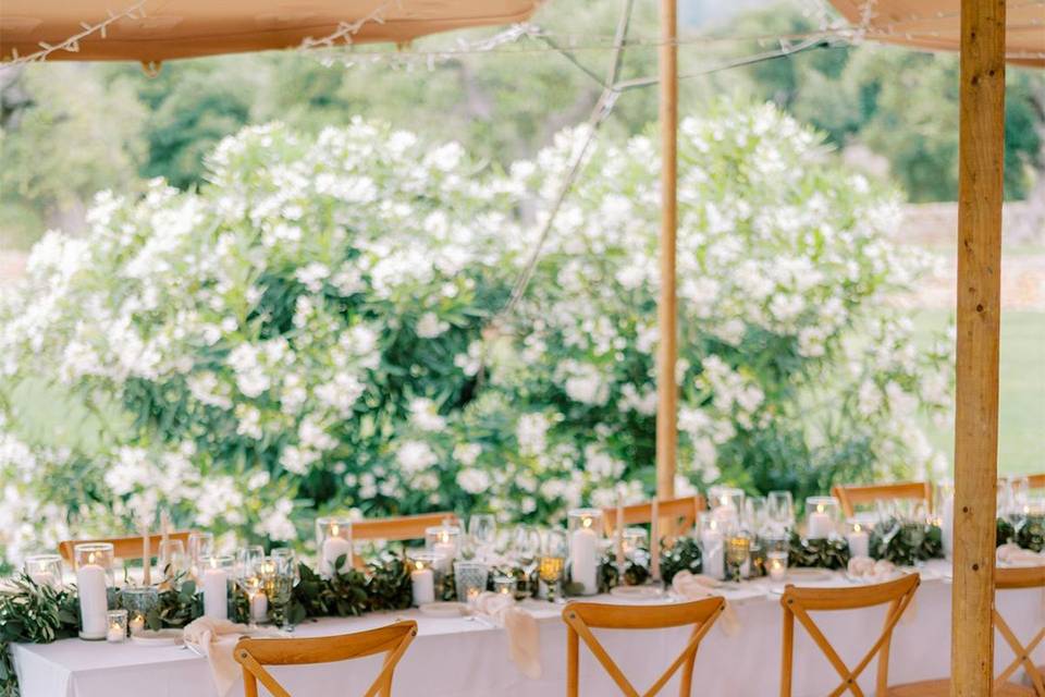 Saponari Eventi