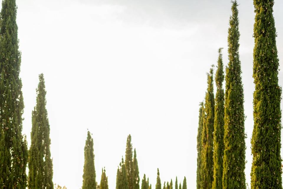 Matrimoni