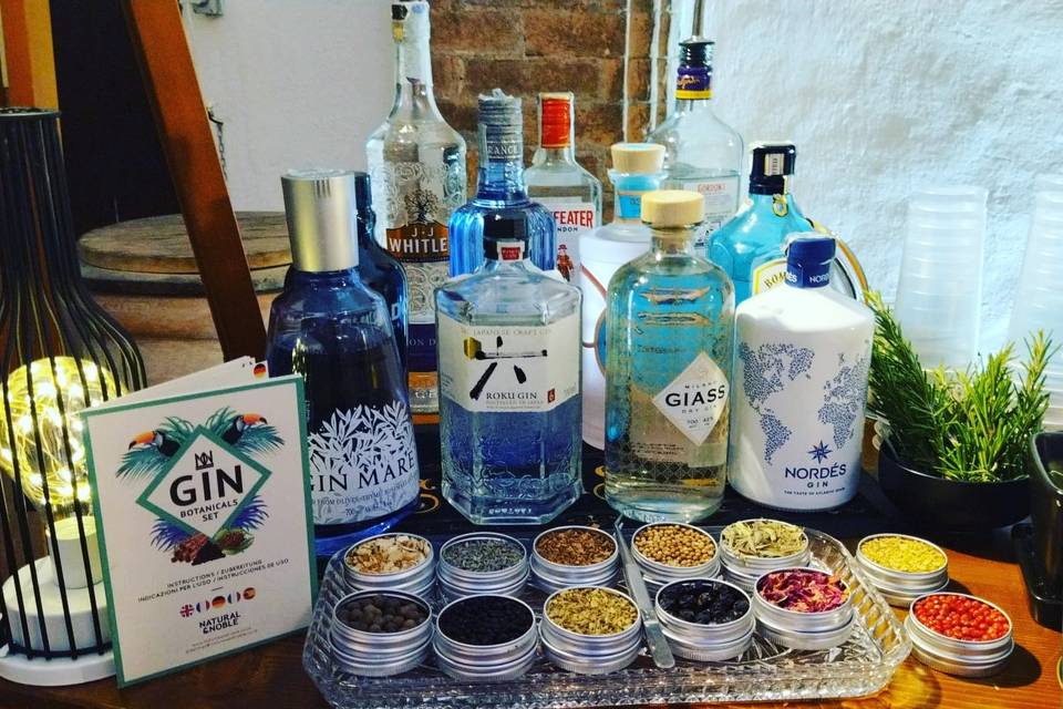 Gin Tasting and Botanicals