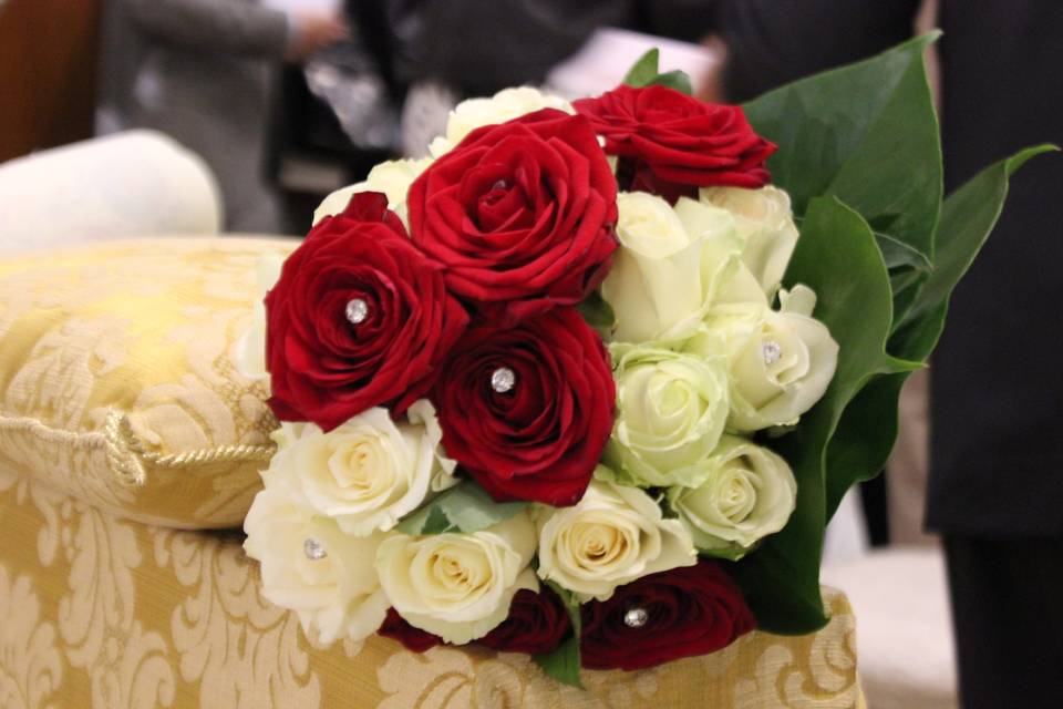 Red and White Roses