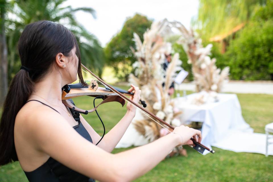 Violino - matrimonio - musica