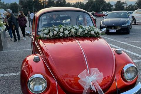 Rino Wedding Cars