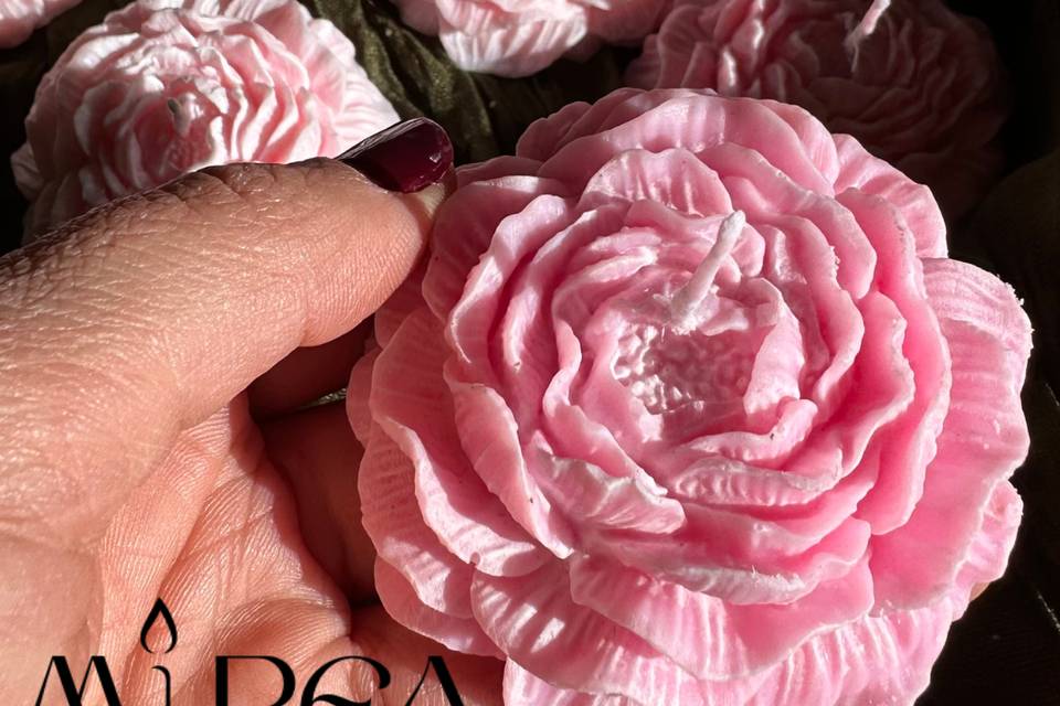 Peonia