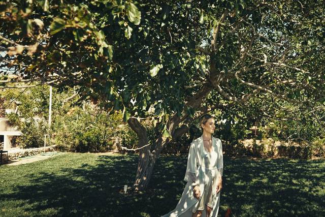 Wedding Day