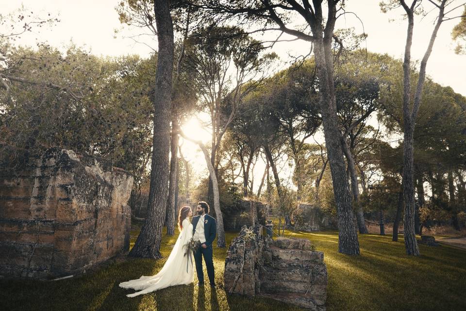 Wedding Day