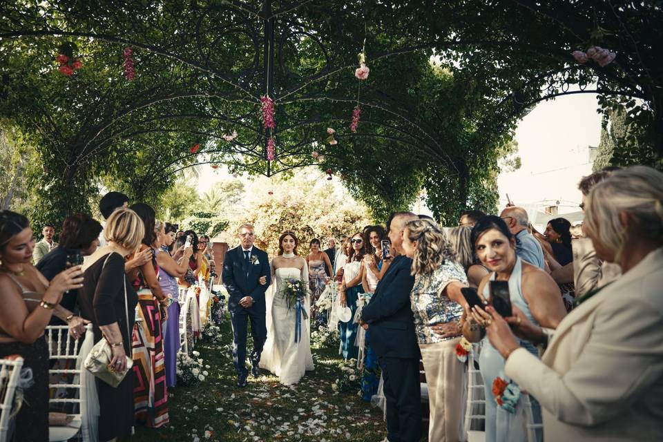 Wedding Day