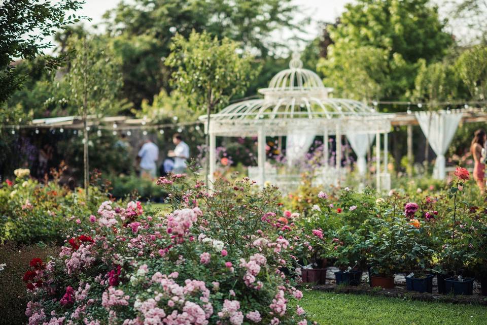 Il giardino di rose