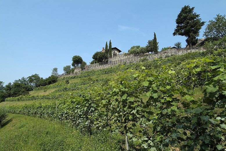 Castello di Rossino