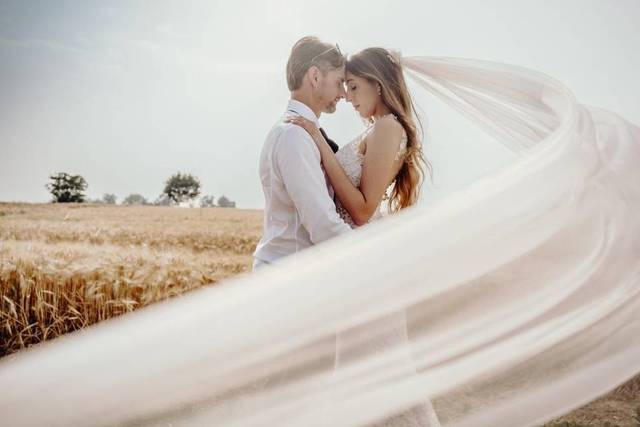Wedding Day
