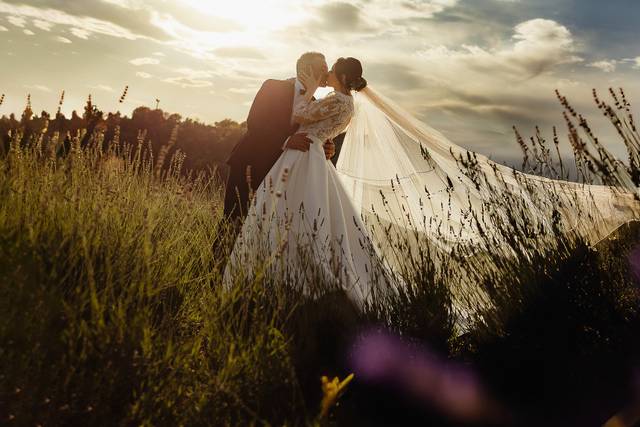 Wedding Day