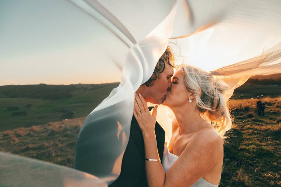 Wedding Day
