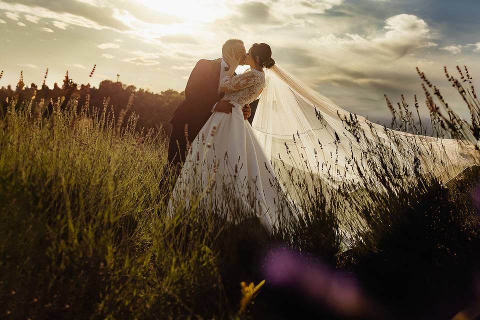 Wedding Day