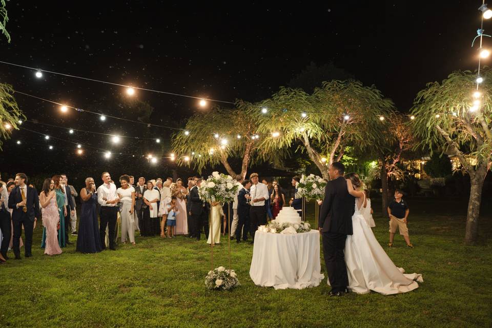 Wedding Day