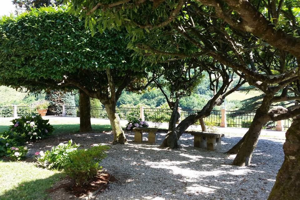 Giardino