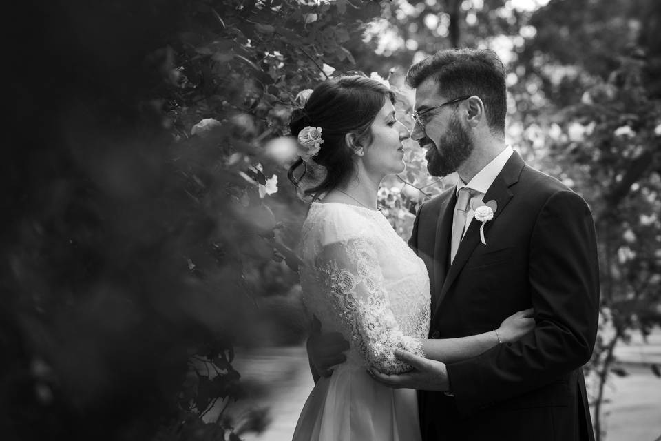 Wedding Day