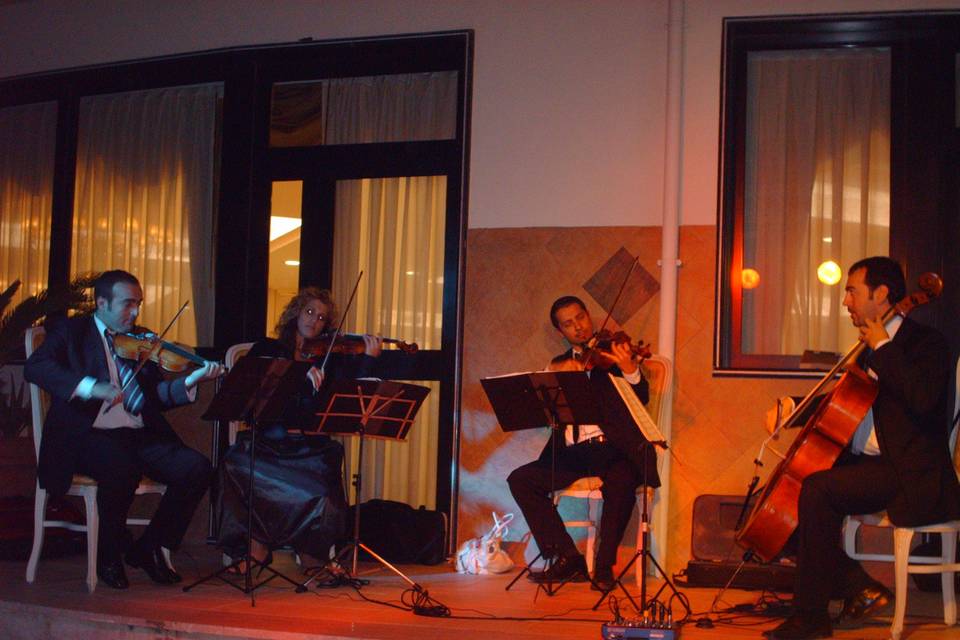 Animazione musica live