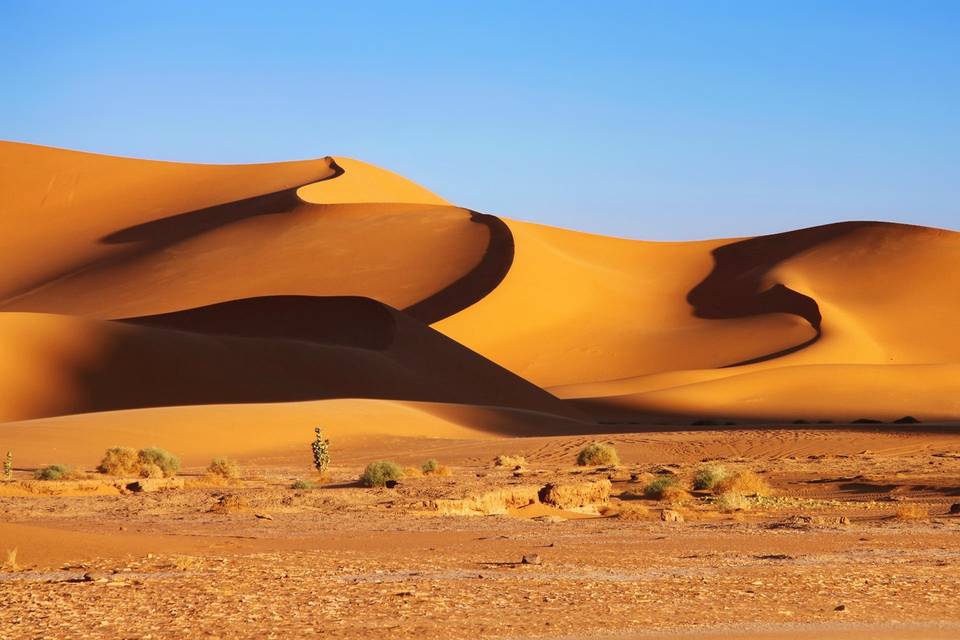 Deserto