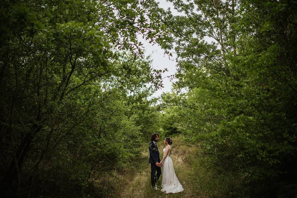 Gaetano Clemente Wedding Storyteller