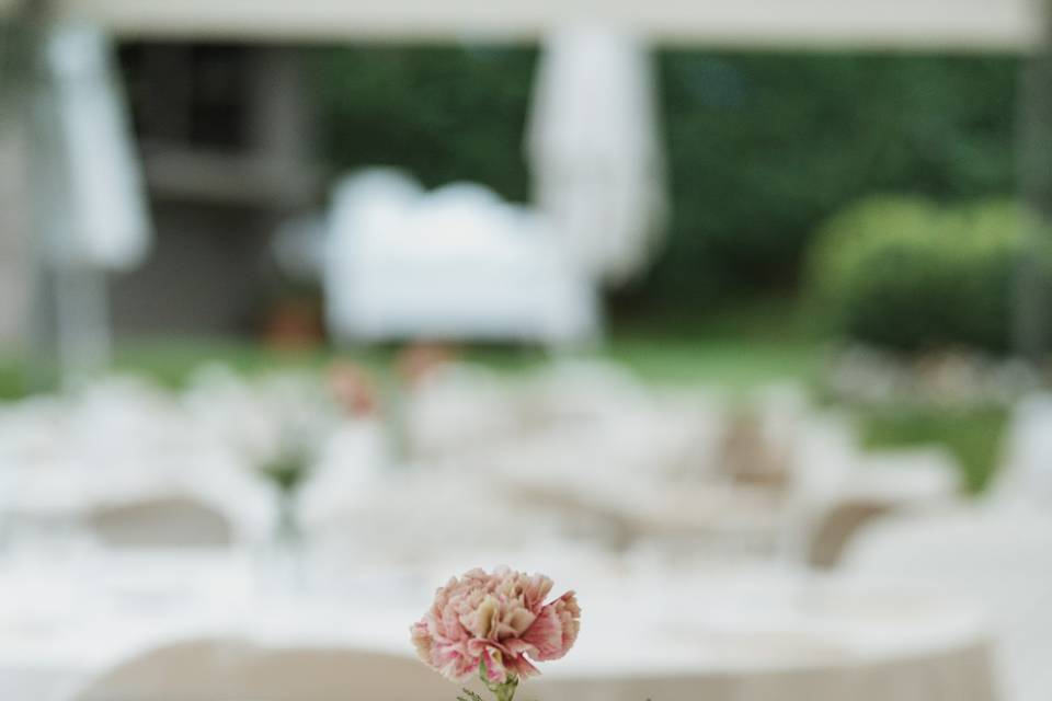 Dettaglio fiori