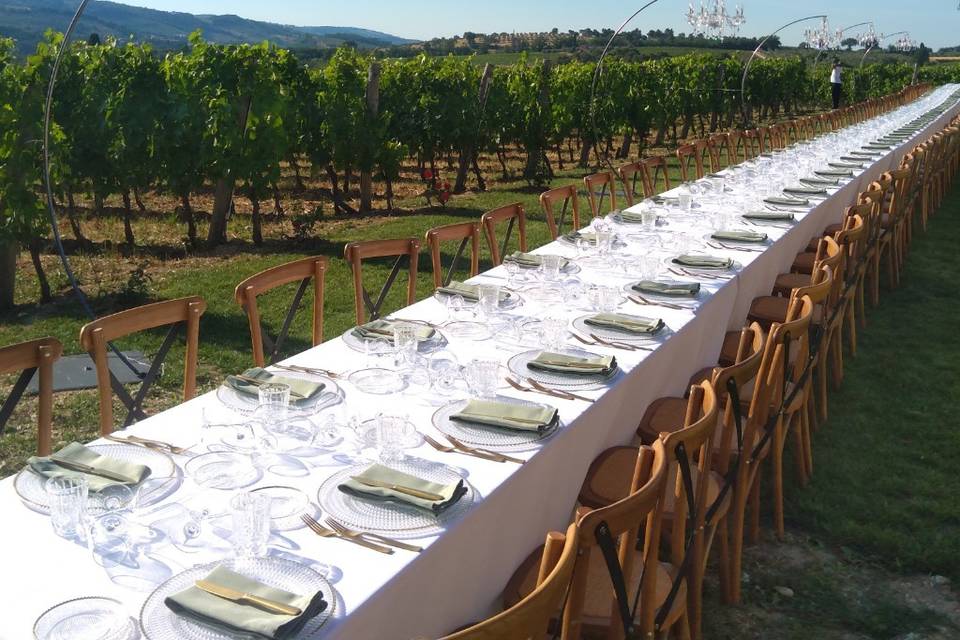 Imperiale su vigna