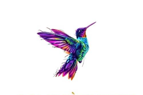Colibri Event