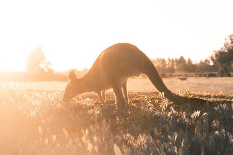 Australia