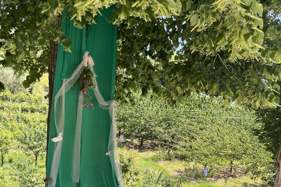 Set up Promesse Boho