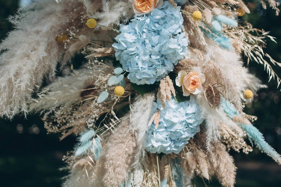 Fiori freschi e pampas