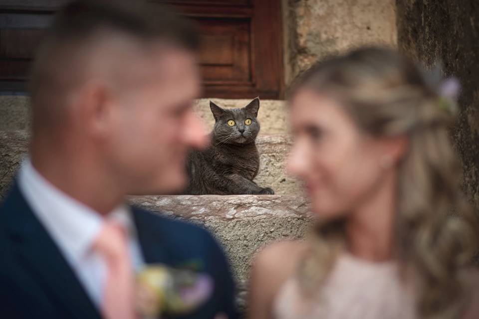 Matrimonio Malcesine