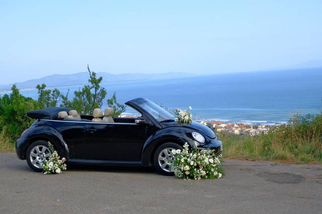 Jacopo - New Beetle Cabrio