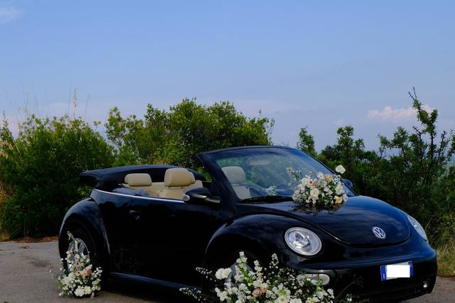 New Beetle Cabriolet