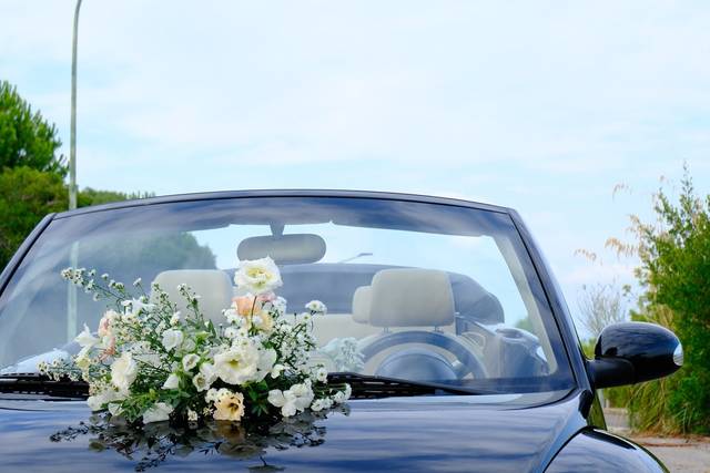 New Beetle Cabriolet