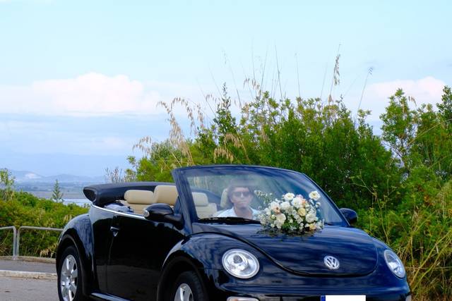 New Beetle Cabriolet