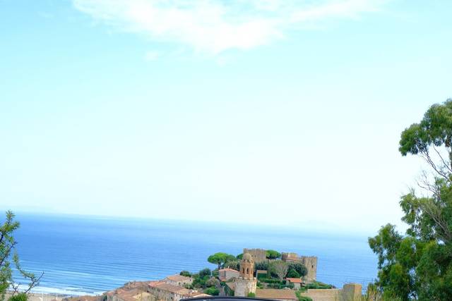 New Beetle Cabriolet