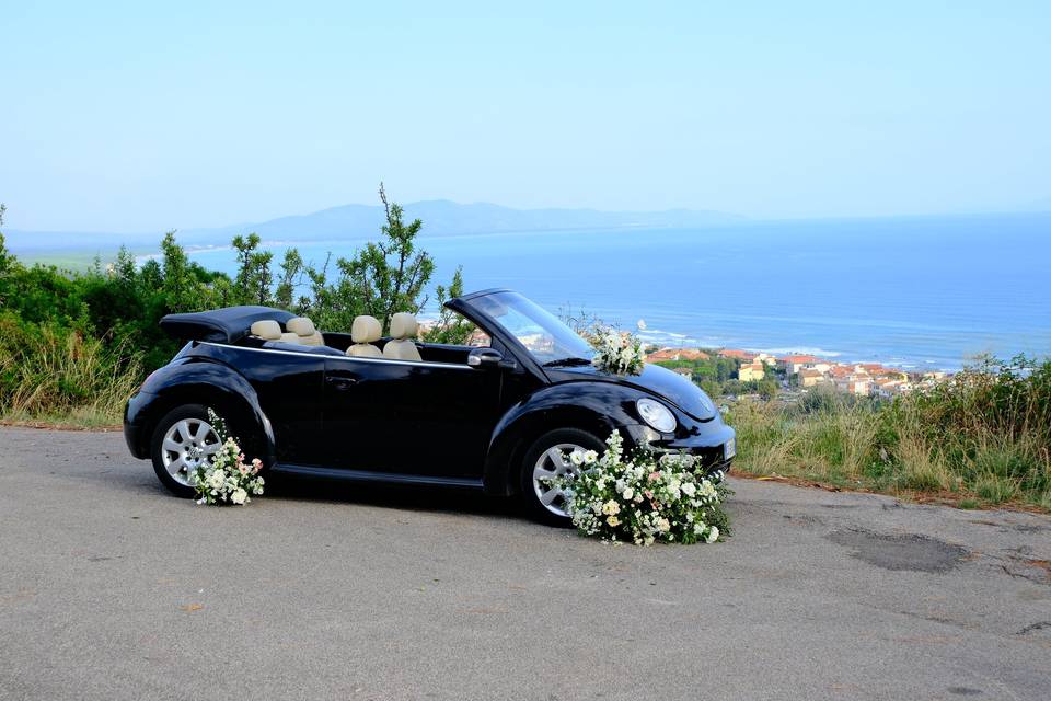 New Beetle Cabriolet