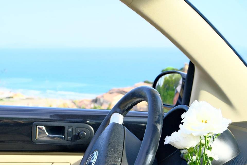 New Beetle Cabriolet interni