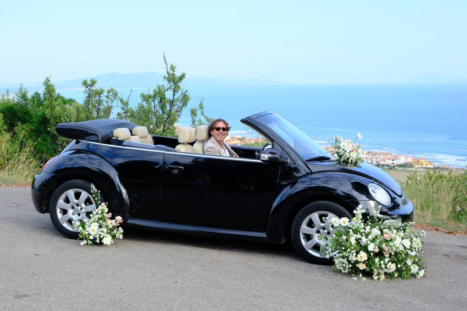New Beetle Cabriolet (autista)