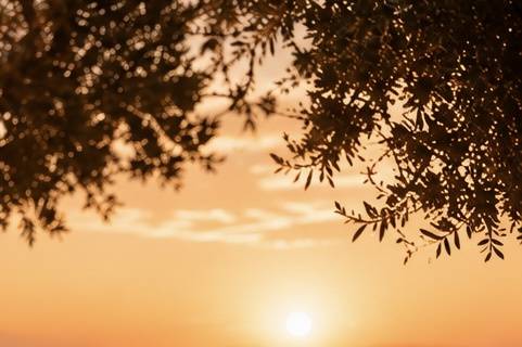 Tramonto perfetto
