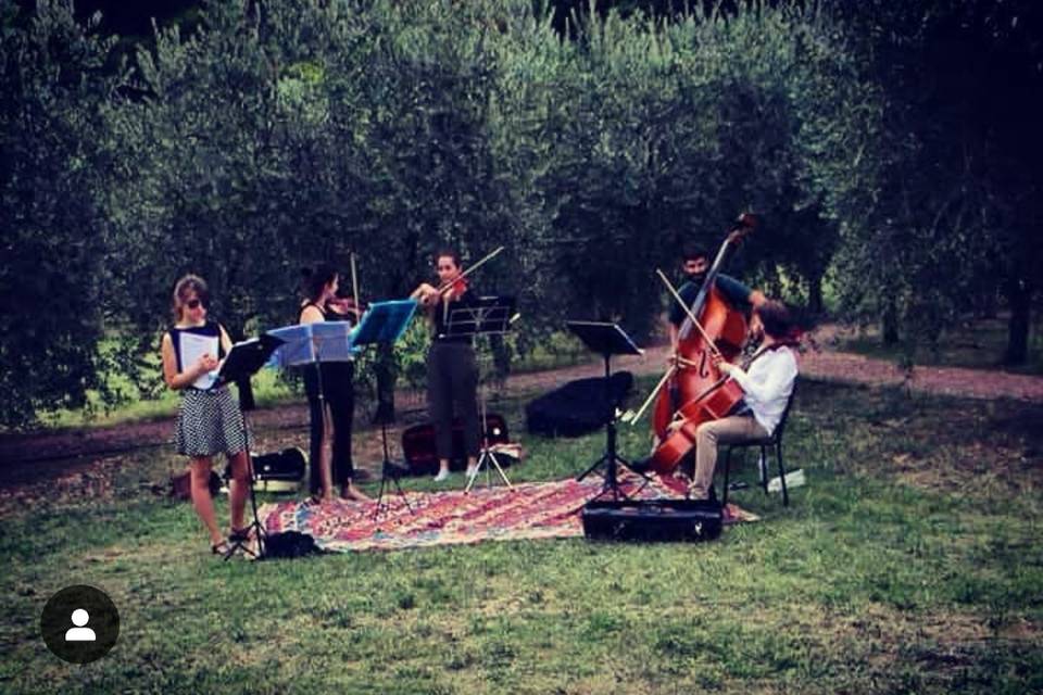 Quintetto ad Assisi