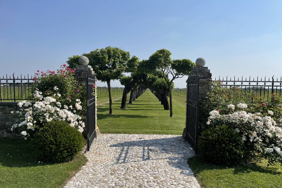 La Villa e il giardino